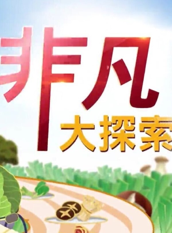 【精品 泄密 】杭州甜美女孩与男友 自拍 流出 - 真的稀缺